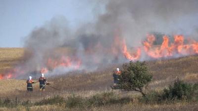 Brand